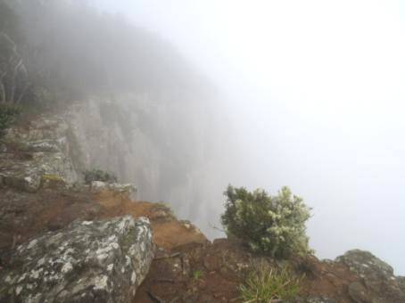 AUSTRALI 042