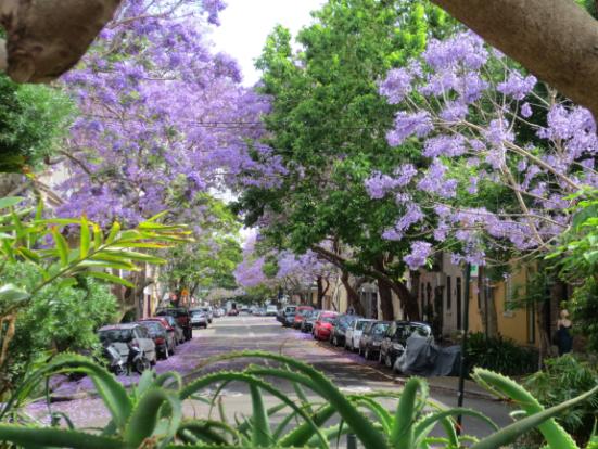 AUSTRALI 457