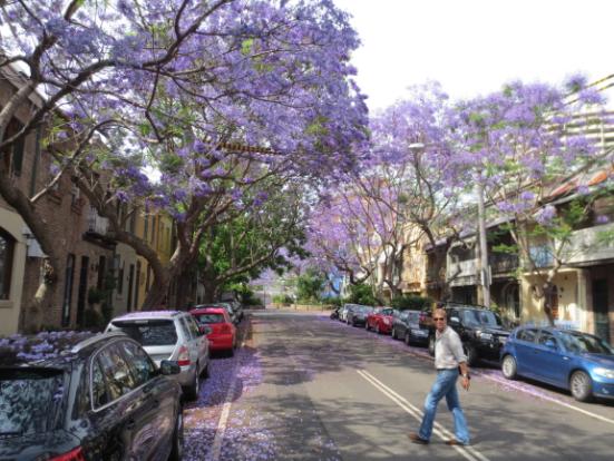 AUSTRALI 454