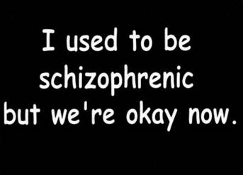I Used To Be Schizophrenic Magnet